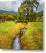 Weeping Willow In Early Autumn Metal Print