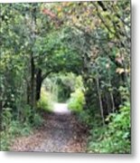 Welcome To The Wooded Path Metal Print