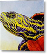 Western Painted Turtle Metal Print