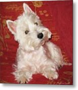 West Highland White Terrier 1 Metal Print