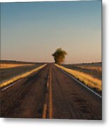 Westward Horizon Metal Print