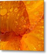 Wet With Love Metal Print