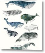 Whales Metal Poster