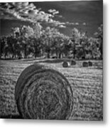 What The Hay---ir Metal Print