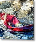 Whats For Lunch Metal Print