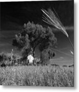 Wheat Land Black And White Metal Print