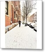 When Snow Falls, Nature Listens Metal Print