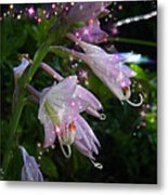 When The Fairies Come Out At Night Metal Print