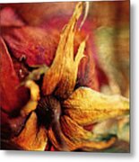 When The Rose Is Faded Metal Print