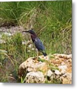 When The Wind Whistles Metal Print