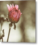 When We Were Young Metal Print