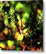 When Yellow Leaves Are Falling Metal Print