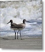 Which Way Metal Print