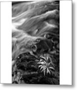 While Standing Next To A Stream I Metal Print