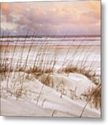 Whispers In The Dunes Metal Print