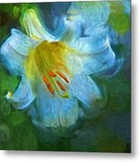 White Lily Obscure Metal Print