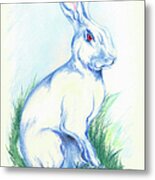 White Rabbit In The Grass Metal Print