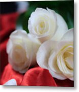 White Roses On Red Satin Metal Print