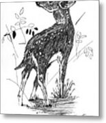 White-tail Fawn -pen And Ink Metal Print