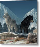 White Wolf, Black Wolf Metal Print