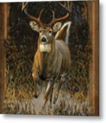 Whitetail Deer Metal Print