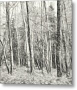 Whose Woods These Are I Think I Know Metal Print