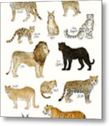 Wild Cats Metal Print