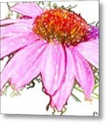 Wild Flower Three Metal Print