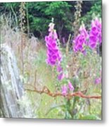 Wild Foxgloves By The Fence Metal Print