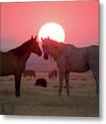 Wild Horse Sunset Metal Print