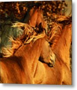 Wild Horses Metal Print