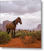 Wild Horses Of Monument Valley Metal Print