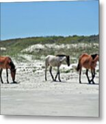 Wild Horses On The Beach Metal Print
