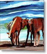 Wild Horses Outer Banks Metal Print