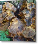 Wild Mushrooms Metal Print