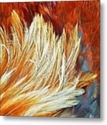 Wild Rooster Feather Abstract Metal Print
