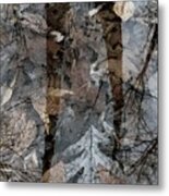 Wild Roots Metal Print