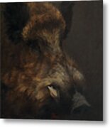 Wildboar Portrait Metal Print