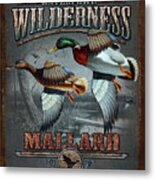 Wilderness Mallard Metal Print