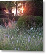 Wildflower Meadow At Sunset, Great Dixter Metal Print