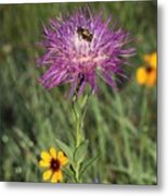 Wildflowers And Friend Metal Print