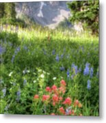 Wildflowers In Albion Basin Utah Metal Print