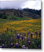 Wildflowers In Fog 2 Metal Print