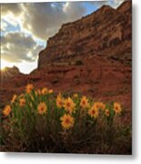 Wildflowers In The Swell. Metal Print