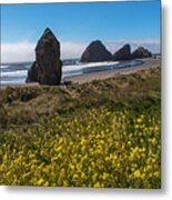Wildflowers Meet Southern Oregon Coastline Metal Print