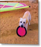 Will You Play With Me? Metal Print