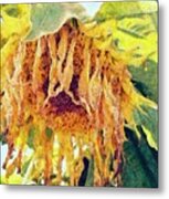 Wilted Sunflower - What A Day Metal Print