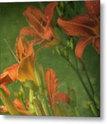 Wind Blown And Rain Spattered Metal Print