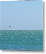 Wind In The Sails Metal Print