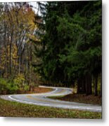 Winding Road Metal Print